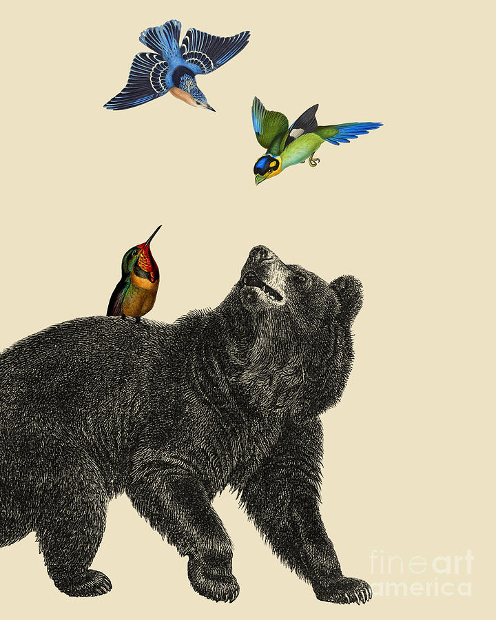 Bear Digital Art - Black bear and birds by Madame Memento