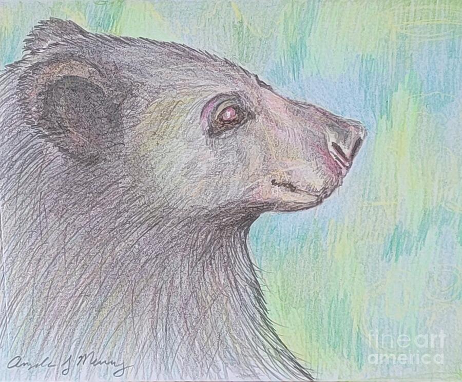 Black Bear Drawing by Angela J Murray
