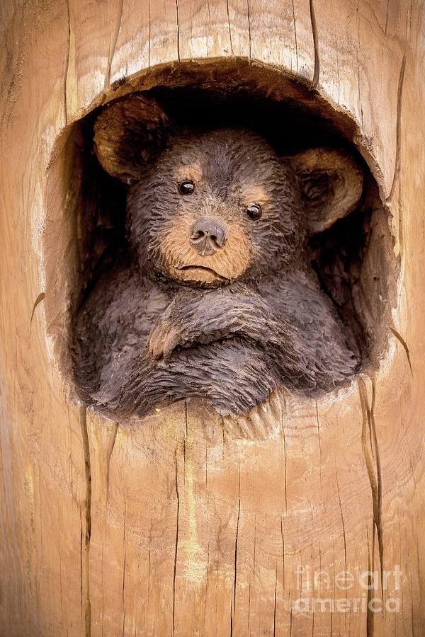 Black Bear Cub Carving Photograph by Imagery by Charly