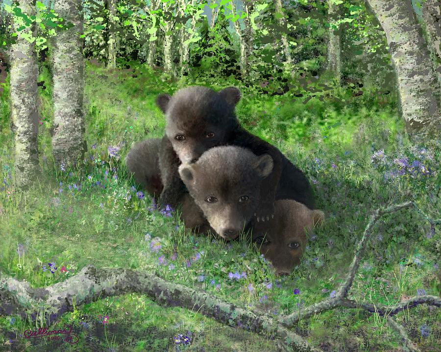 Black Bear Digital Art - Black Bear Cubs at Play by Marilyn Cullingford