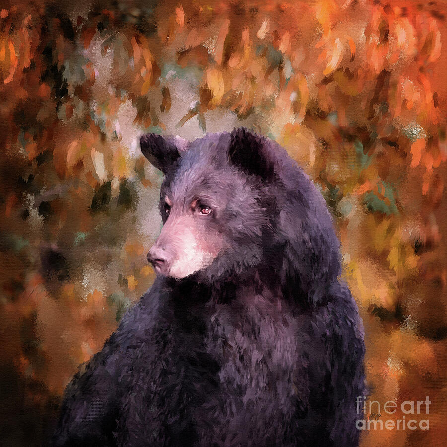 Black Bear In Autumn Digital Art by Lois Bryan