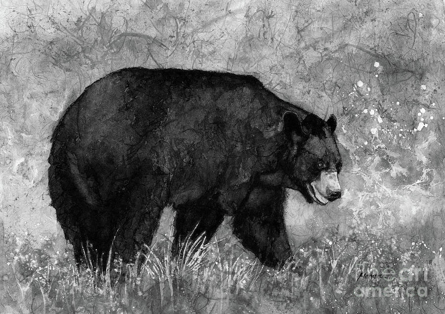 Black Bear In Black And Whtie Painting