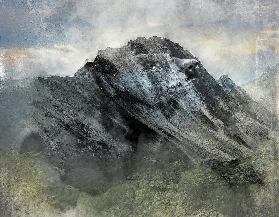 Black Bear Mountain Landscape Mixed Media by Dan Sproul