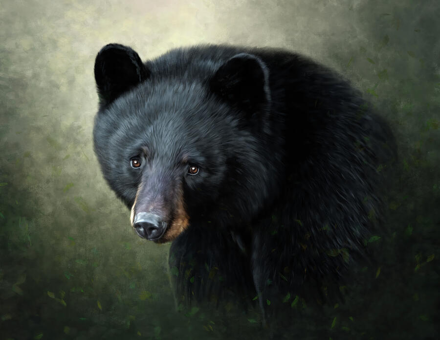Black Bear Painting Mixed Media by Tracy Munson