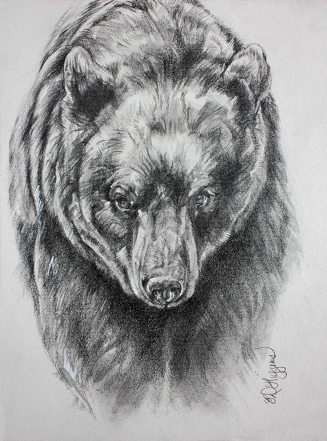 Yosemite National Park Painting - Black Bear sketch by Derrick Higgins
