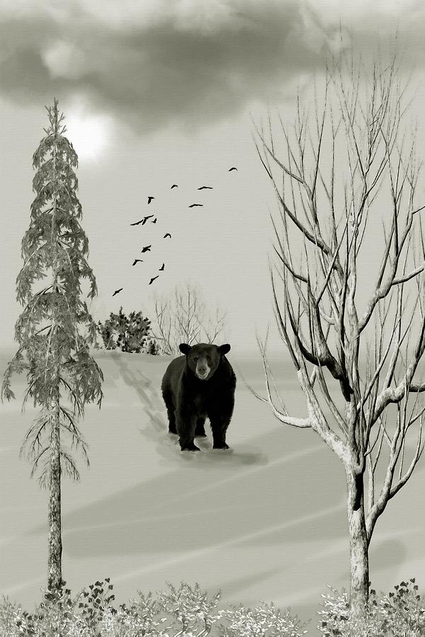 Black Bear Time To Hibernate B W Mixed Media by David Dehner
