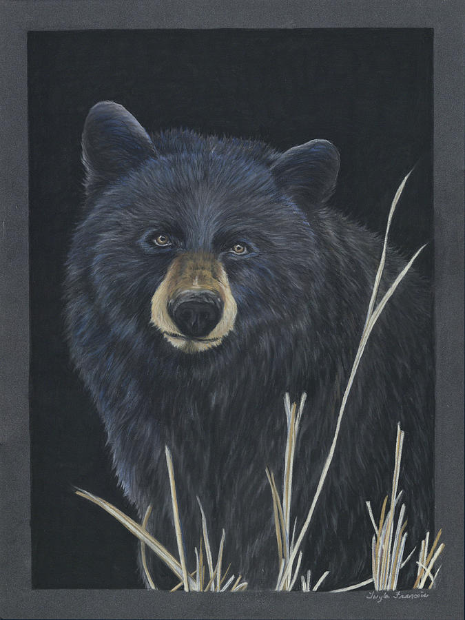 Black Bear Pastel by Twyla Francois