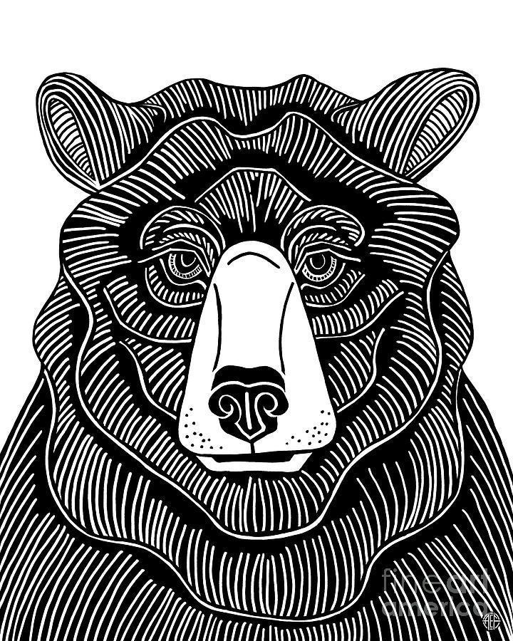 Black Bear. Wild Animal Ink 8  Drawing by Amy E Fraser
