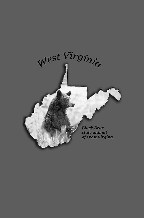 Black Bear WV state animal Photograph by Dan Friend