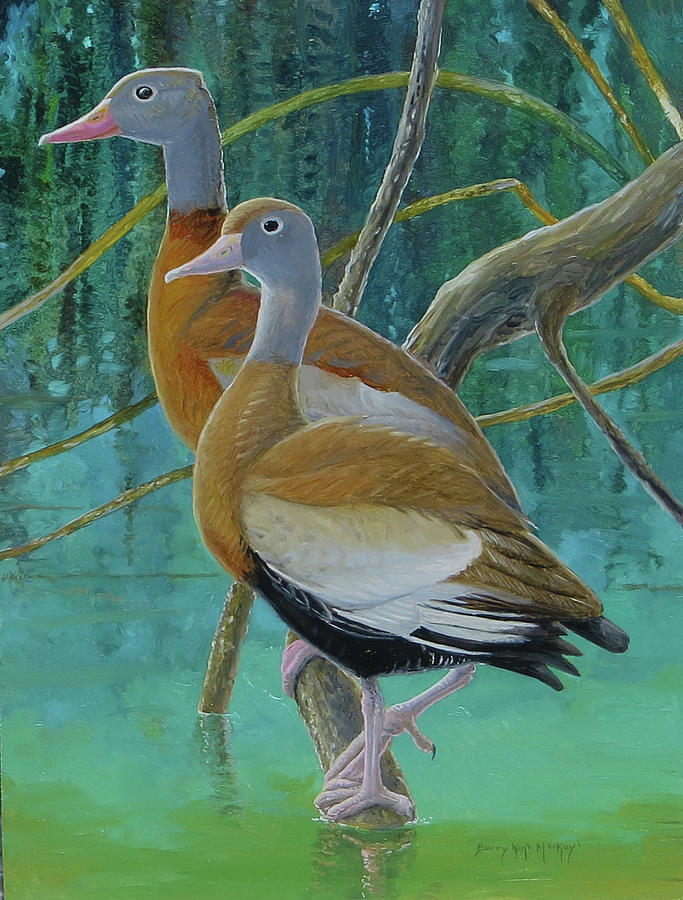 Black-bellied Whistling-Ducks Painting by Barry Kent MacKay