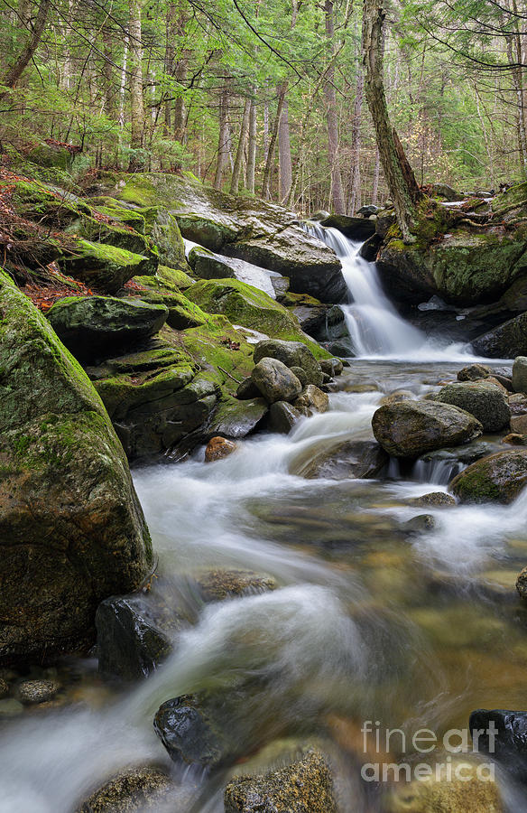 Nature Photograph - Black Brook Falls - Easton New Hampshire   by Erin Paul Donovan