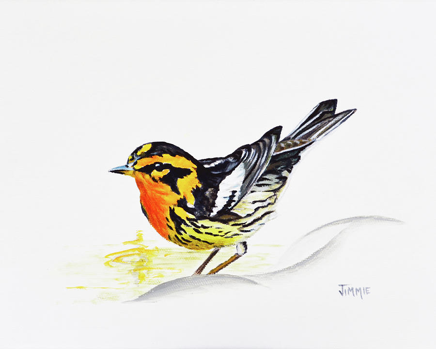 Black Burnian Warbler Painting by Jimmie Bartlett