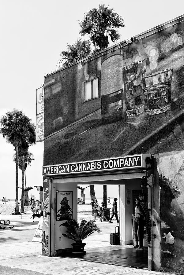Venice Beach Photograph - Black California Series - American Cannabis Venice Beach by Philippe HUGONNARD