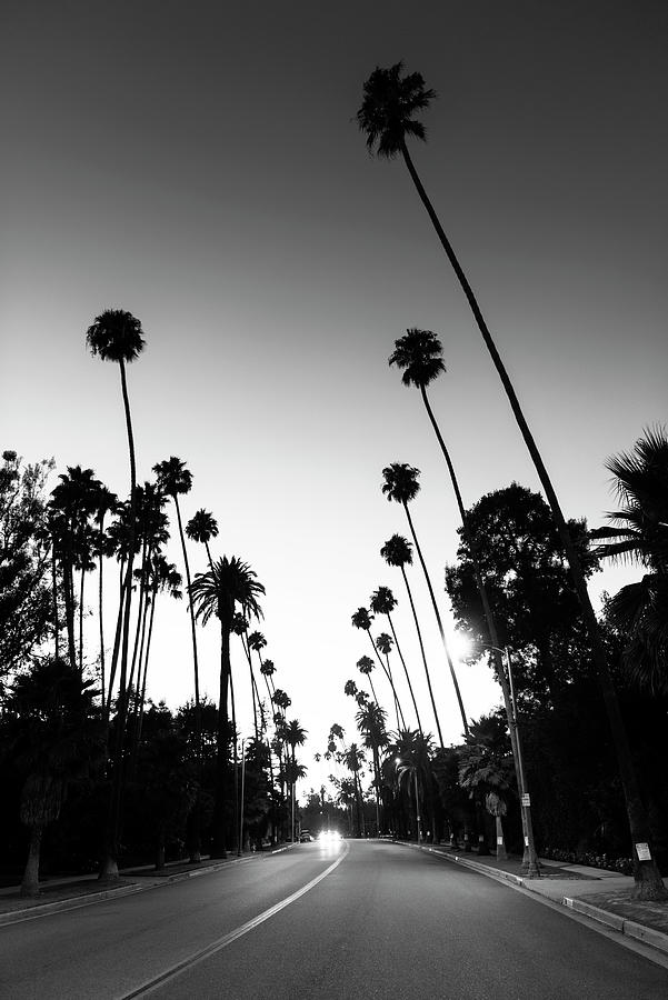 Black California Series - Beverly Hills Nighfall Photograph by Philippe HUGONNARD