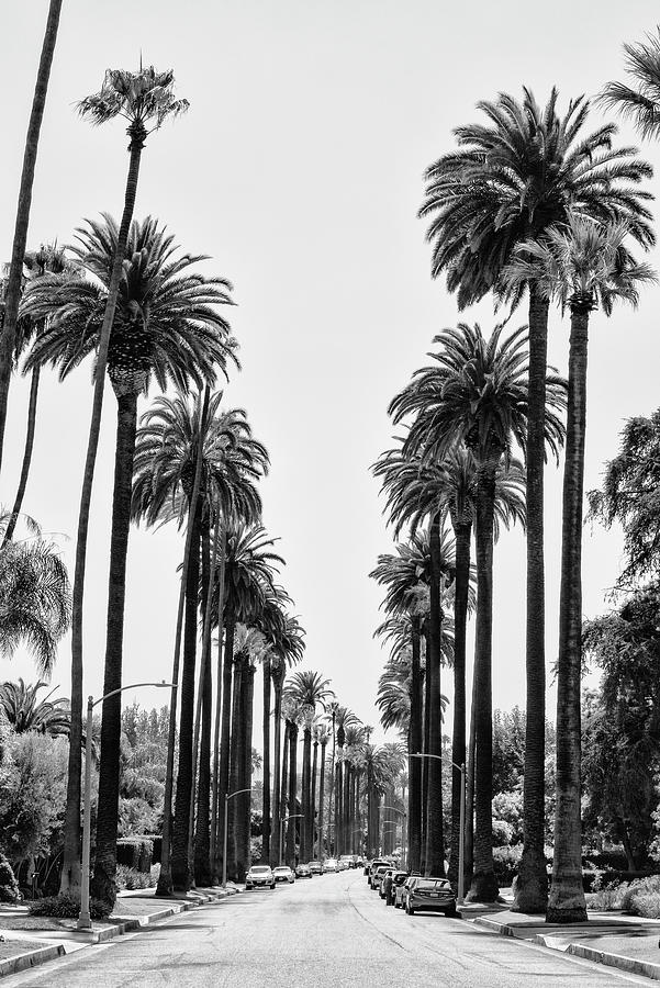 Black California Series - Beverly Hills   Photograph by Philippe HUGONNARD