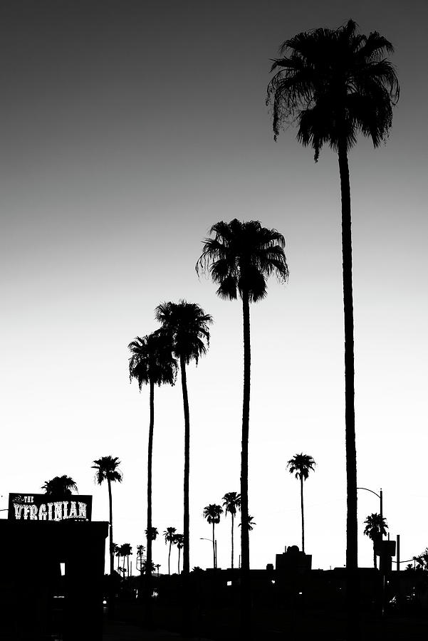 Black California Series - Palm Trees Shadows Photograph by Philippe HUGONNARD