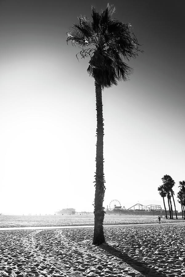 Black California Series - Santa Monica Palm Tree Photograph by Philippe HUGONNARD