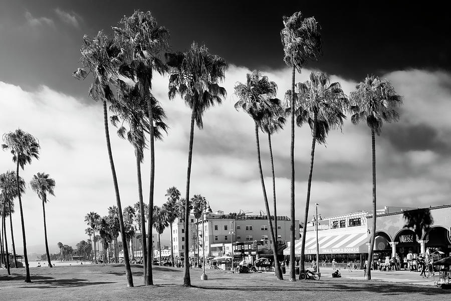 Black California Series - Venice Beach Palm Trees Photograph by Philippe HUGONNARD