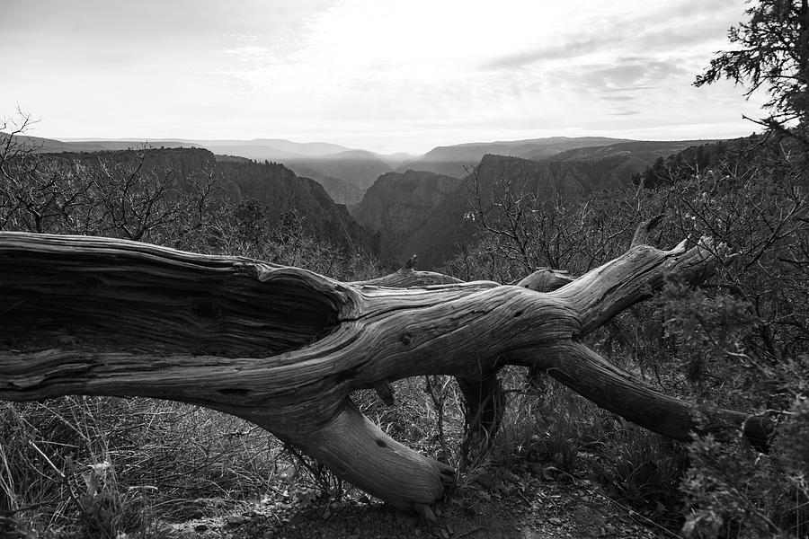 Black Canyon at Gunnison National Park in Colorado in black and white Photograph by Eldon McGraw