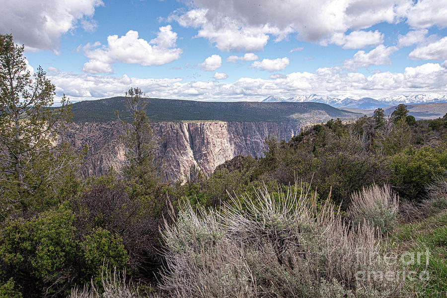Black Canyon Gunnison Overview Photograph by Daniel Hebard
