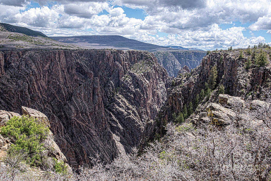 Black Canyon of the Gunnison Canyon View at Chasm Point Photograph by Daniel Hebard