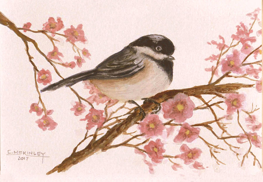 Black Cap On Blossoms Painting by Carl McKinley