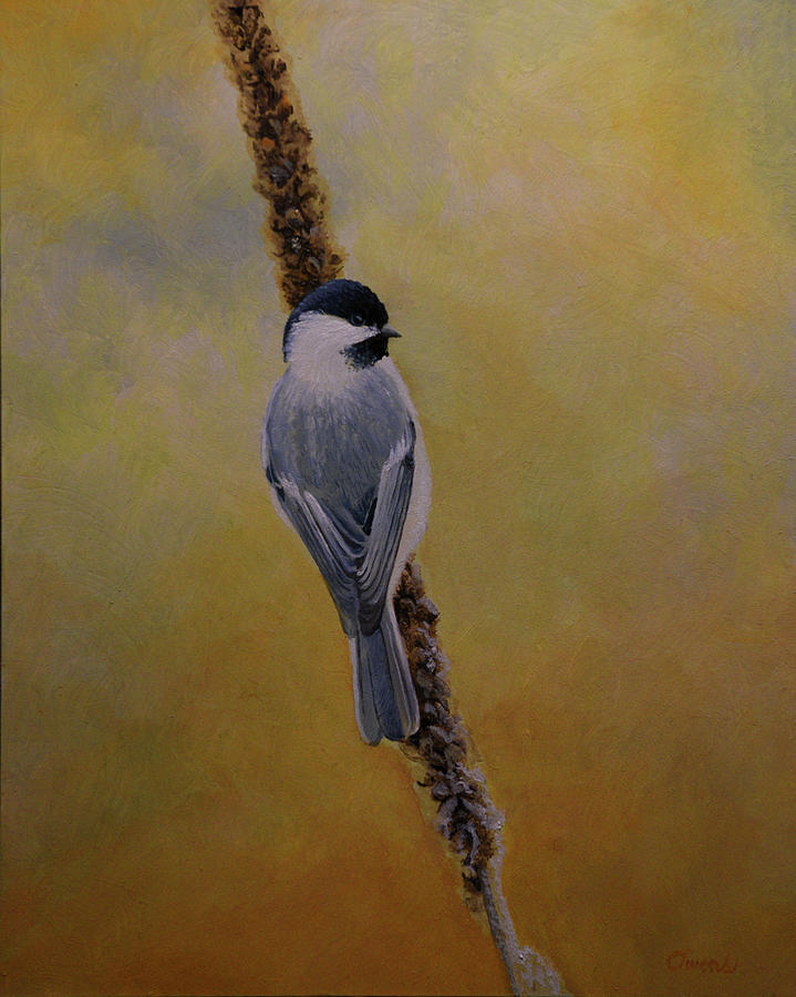Black-capped Chickadee Painting by Charles Owens