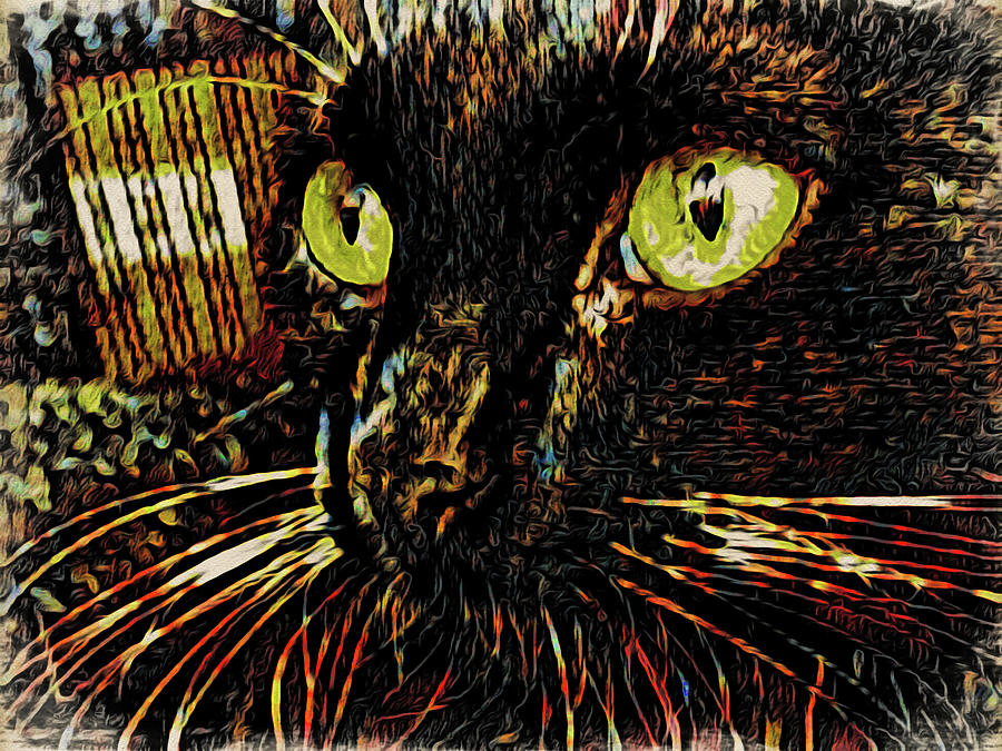 Black Cat Abstract Art Digital Art