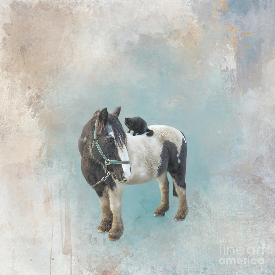 Gypsy Horse Mixed Media - Black Cat and Her Gypsy Horse by Elisabeth Lucas