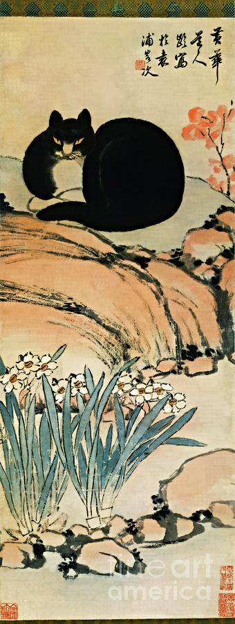 Black Cat and Narcissus Hanging Scroll Qing Dynasty Painting by Peter Ogden