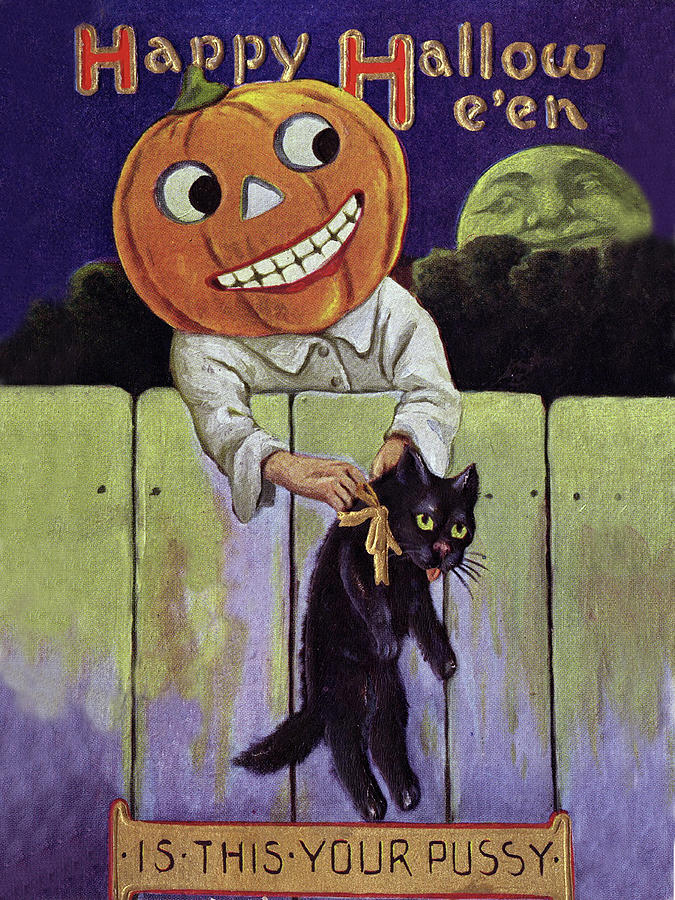 Halloween Digital Art - Black Cat and Pumpkin by Long Shot