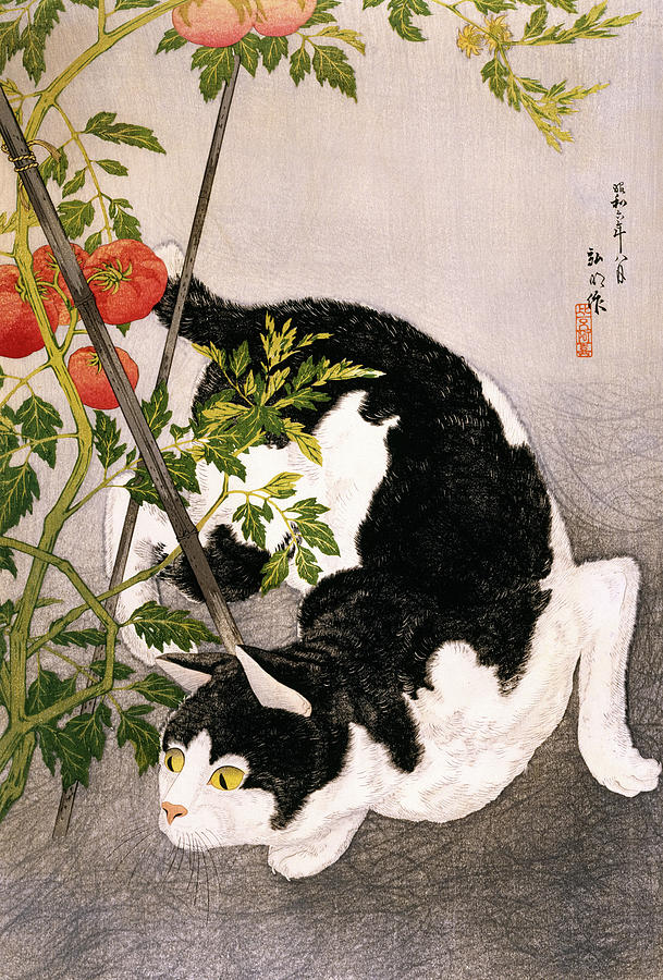 Black Cat and Tomato Plant, 1931 Painting by Takahashi Hiroaki - Fine ...