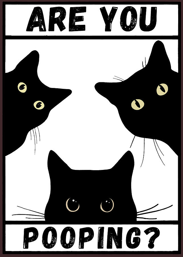 Black Cat Are You Pooping Poster white Drawing by Gani Ismail - Fine ...