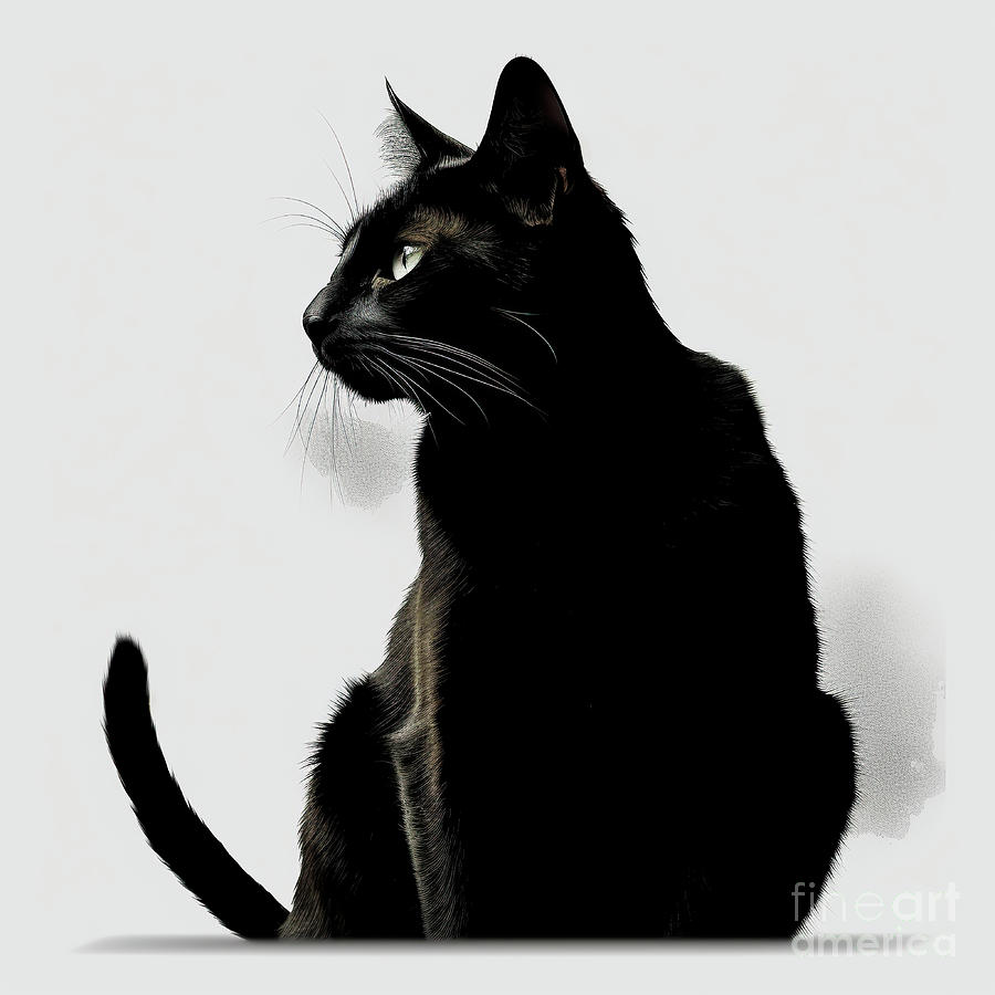 Black Cat Digital Art by Felix Lai