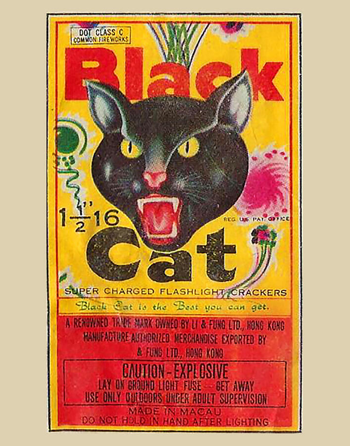 Black Cat Firecrackers Digital Art by Michael Fleischmann | Pixels