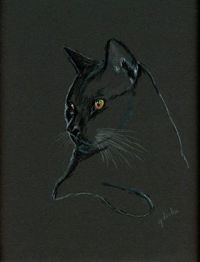 Black Cat Photograph by Gerri Duke