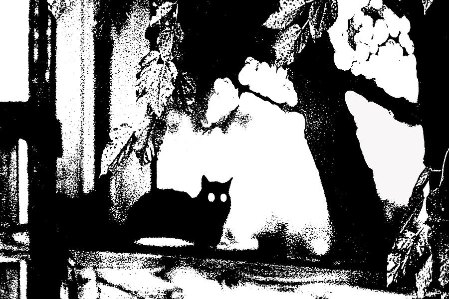 Abstract Photograph - Black Cat by Holly Morris Abstract Photograph - Black Cat by Holly Morris