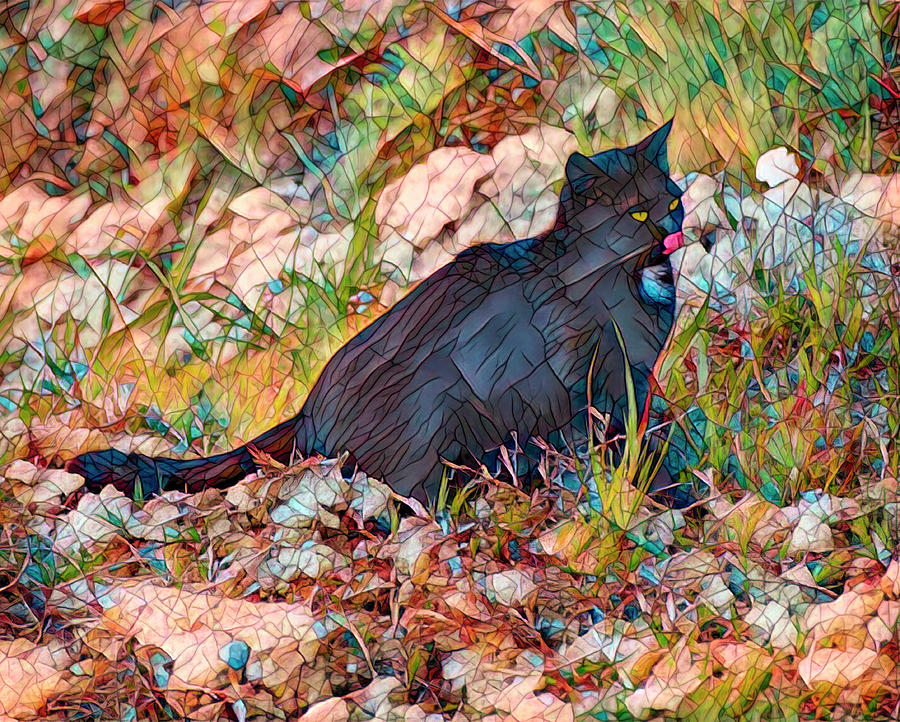 Black Cat Impression Mixed Media by Lowell Monke
