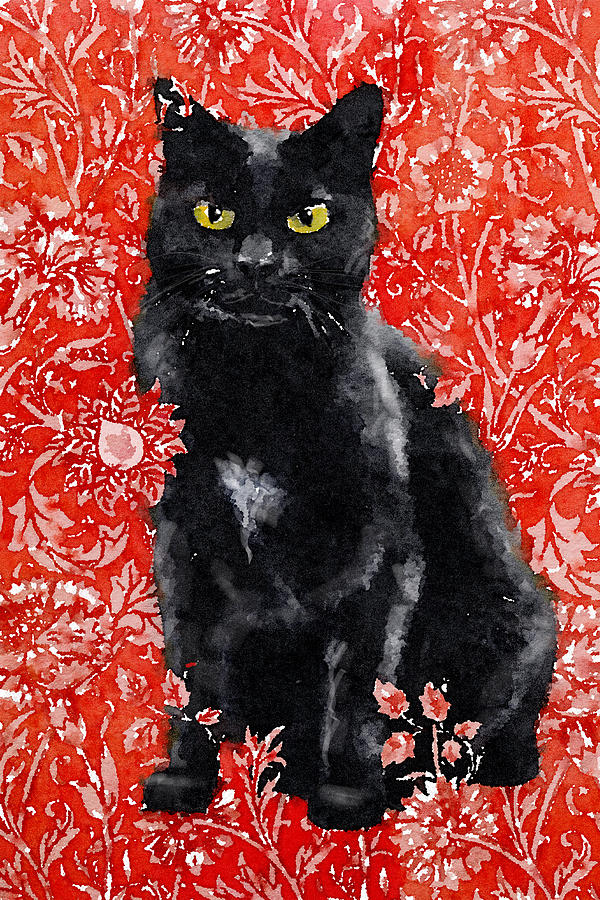 Black Cat in Red Digital Art by Zelda Tessadori
