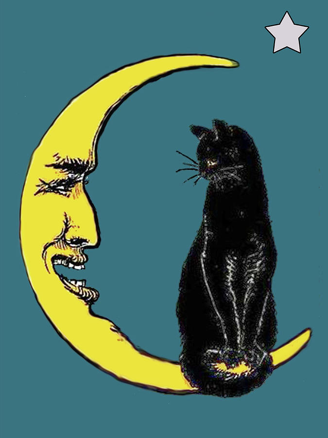 Black Cat on the Yellow Moon Digital Art by Long Shot