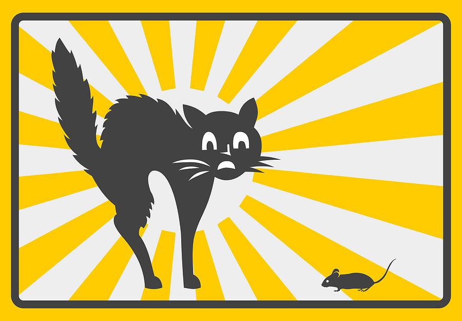 Animal Digital Art - Black Cat Silhouette Fear Mouse Animals Rat by Jeff Creation