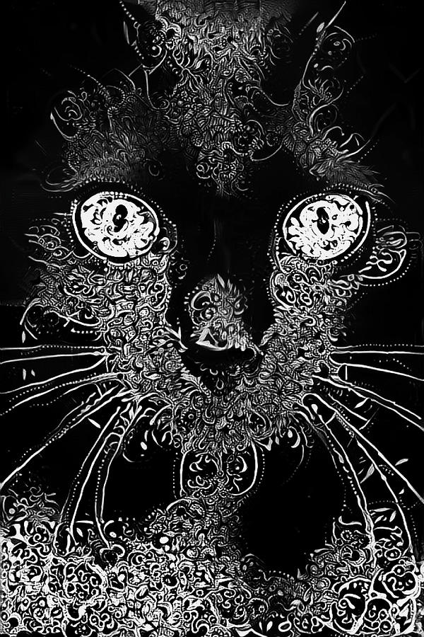 Black Cat - White Lace Digital Art by Peggy Collins
