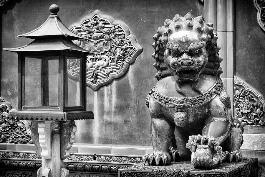 Black China Series - Guardian of the Forbidden City Photograph by Philippe HUGONNARD