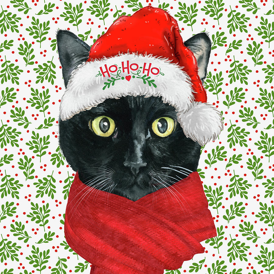 Black Christmas Cat Digital Art by Doreen Erhardt