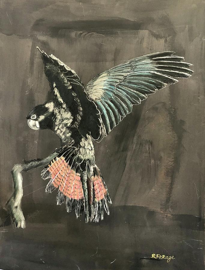 Black Cockatoo  Pastel by Richard Le Page