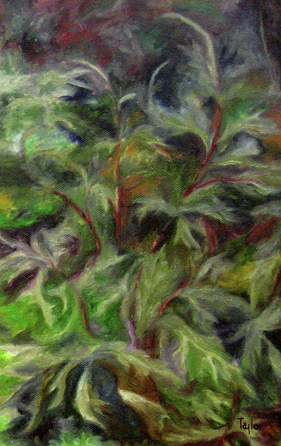 Black Cohosh Painting by FT McKinstry