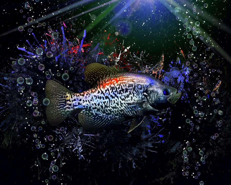 Black Crappie Fish Digital Art by Scott Wallace Digital Designs - Pixels