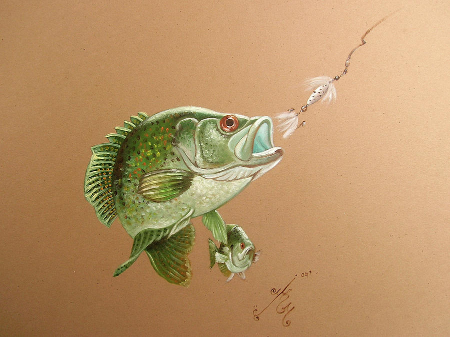 Black Crappie Painting by Margarita Maxson - Fine Art America