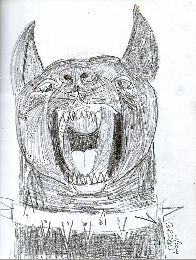 Black Dog Drawing by Genevieve Esson