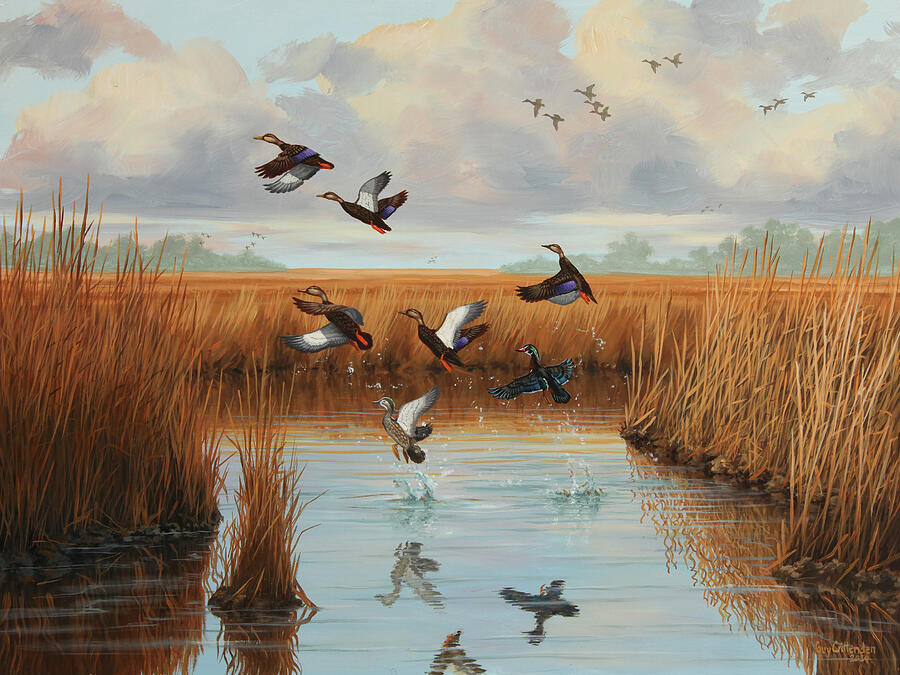 Black Duck Gut Painting by Guy Crittenden